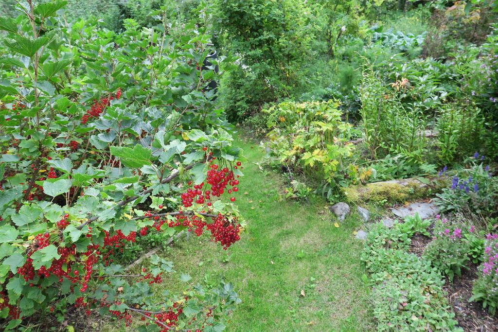 Brigitte'S Bavarian Bed Und Breakfast Millers Landing Dış mekan fotoğraf
